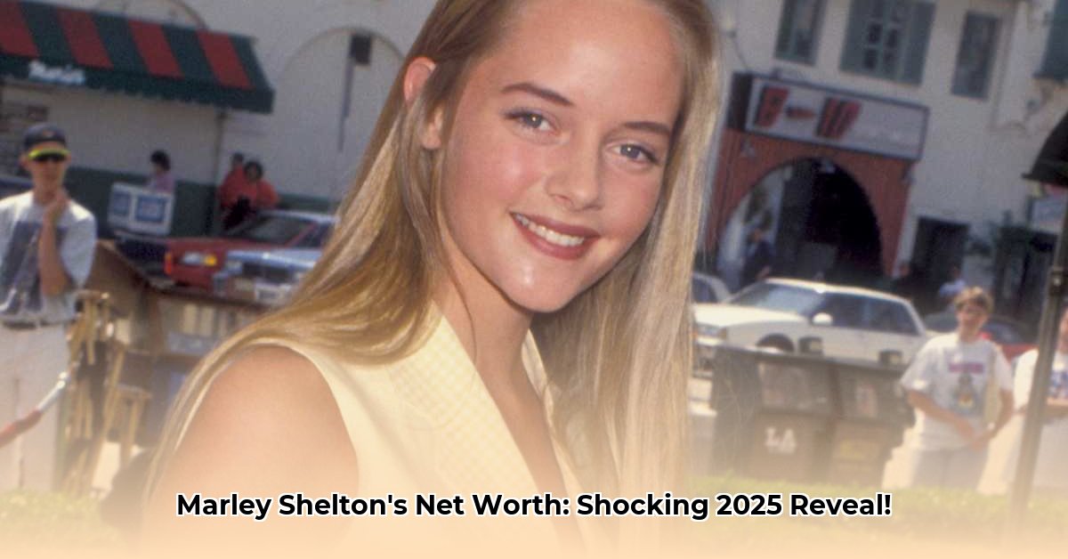 marley-shelton-net-worth
